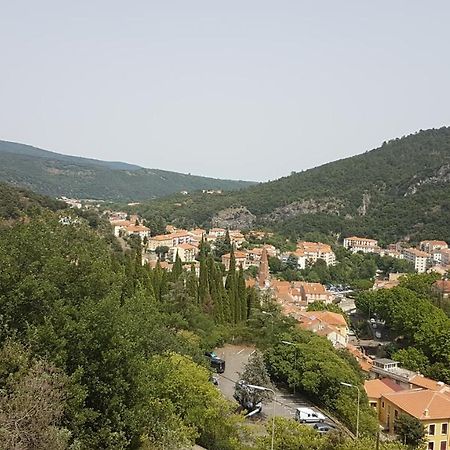 Joli studio de 26 m² avec véranda de 6 m² calme et vue sur montagne Amélie-les-Bains-Palalda Extérieur photo